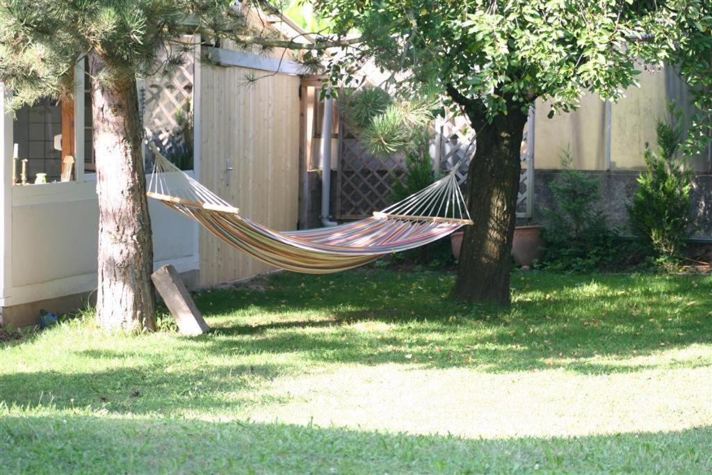 Hindisheim Bois Joli De La Freyere Bed & Breakfast エクステリア 写真