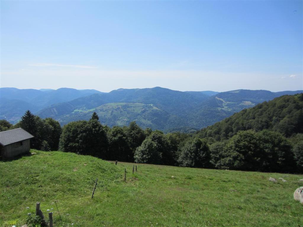 Hindisheim Bois Joli De La Freyere Bed & Breakfast エクステリア 写真
