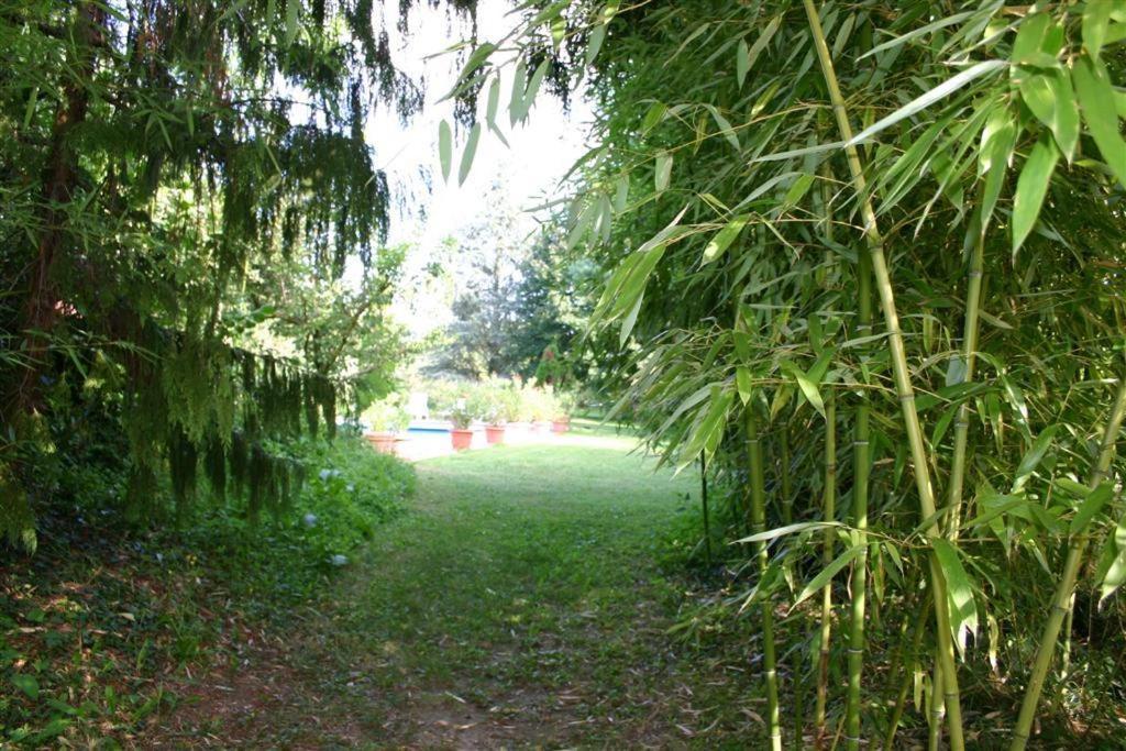 Hindisheim Bois Joli De La Freyere Bed & Breakfast エクステリア 写真
