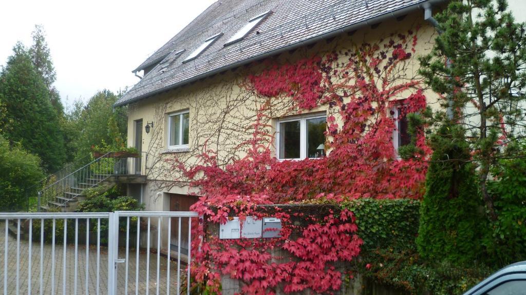 Hindisheim Bois Joli De La Freyere Bed & Breakfast エクステリア 写真